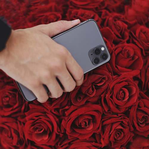 mobile phone person holding iPhone 11 Pro Max cell phone